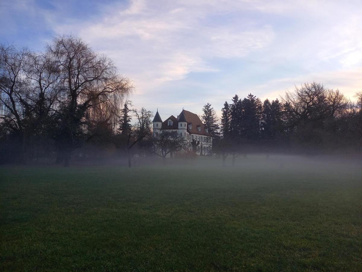 Chateau De Werde Matzenheim Екстериор снимка