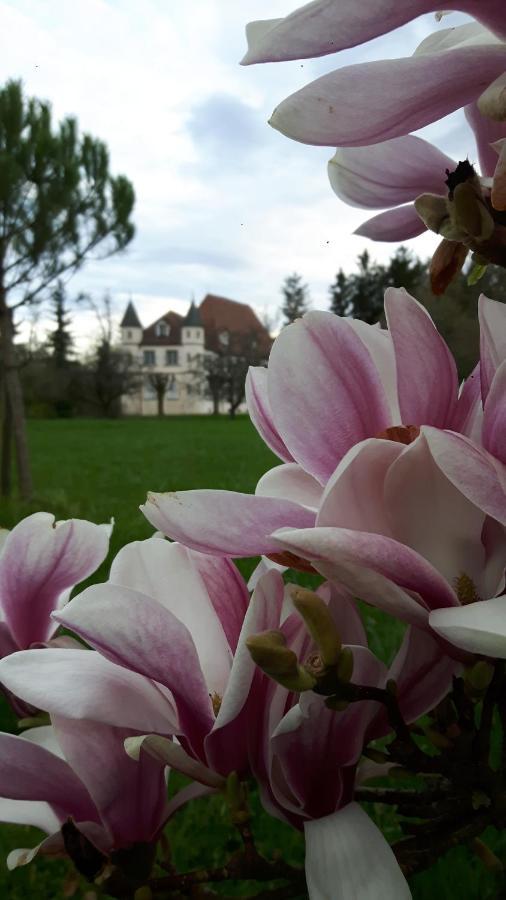 Chateau De Werde Matzenheim Екстериор снимка