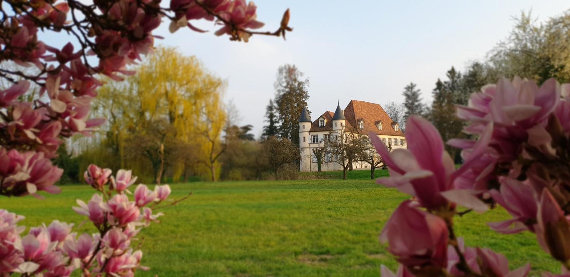 Chateau De Werde Matzenheim Екстериор снимка