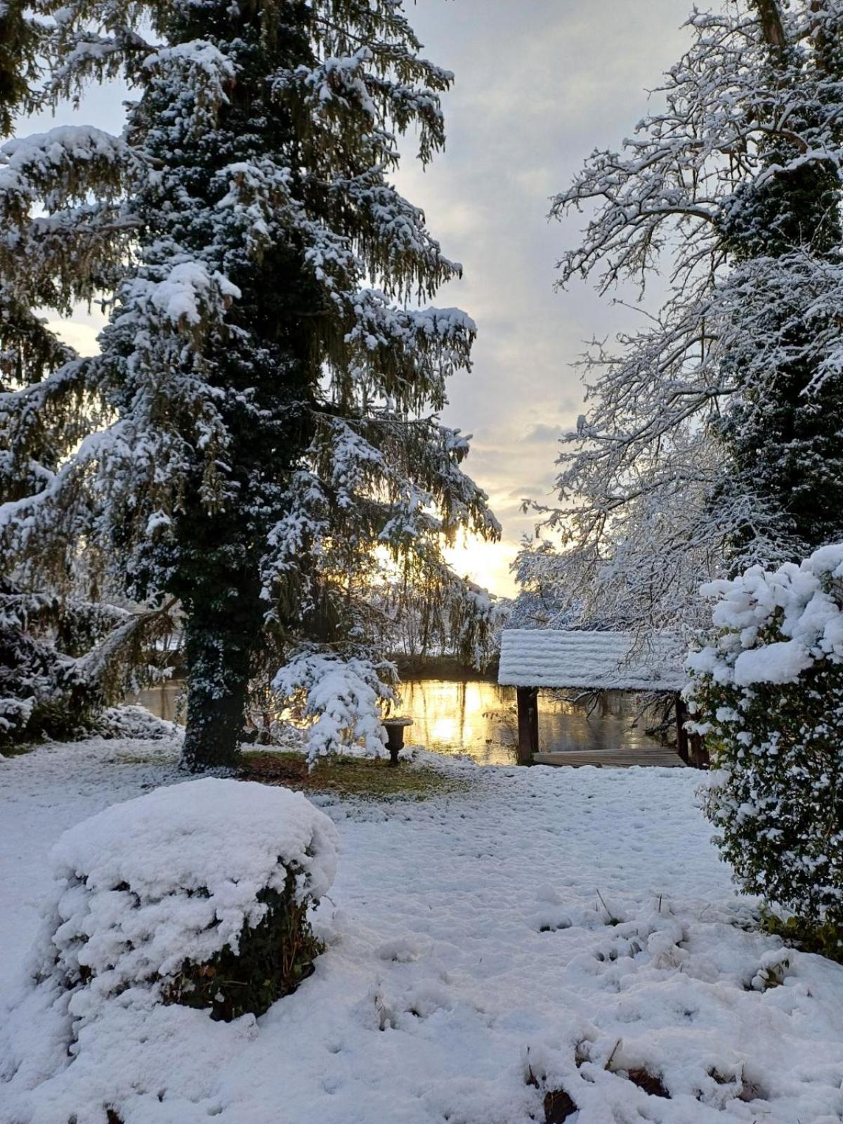 Chateau De Werde Matzenheim Екстериор снимка